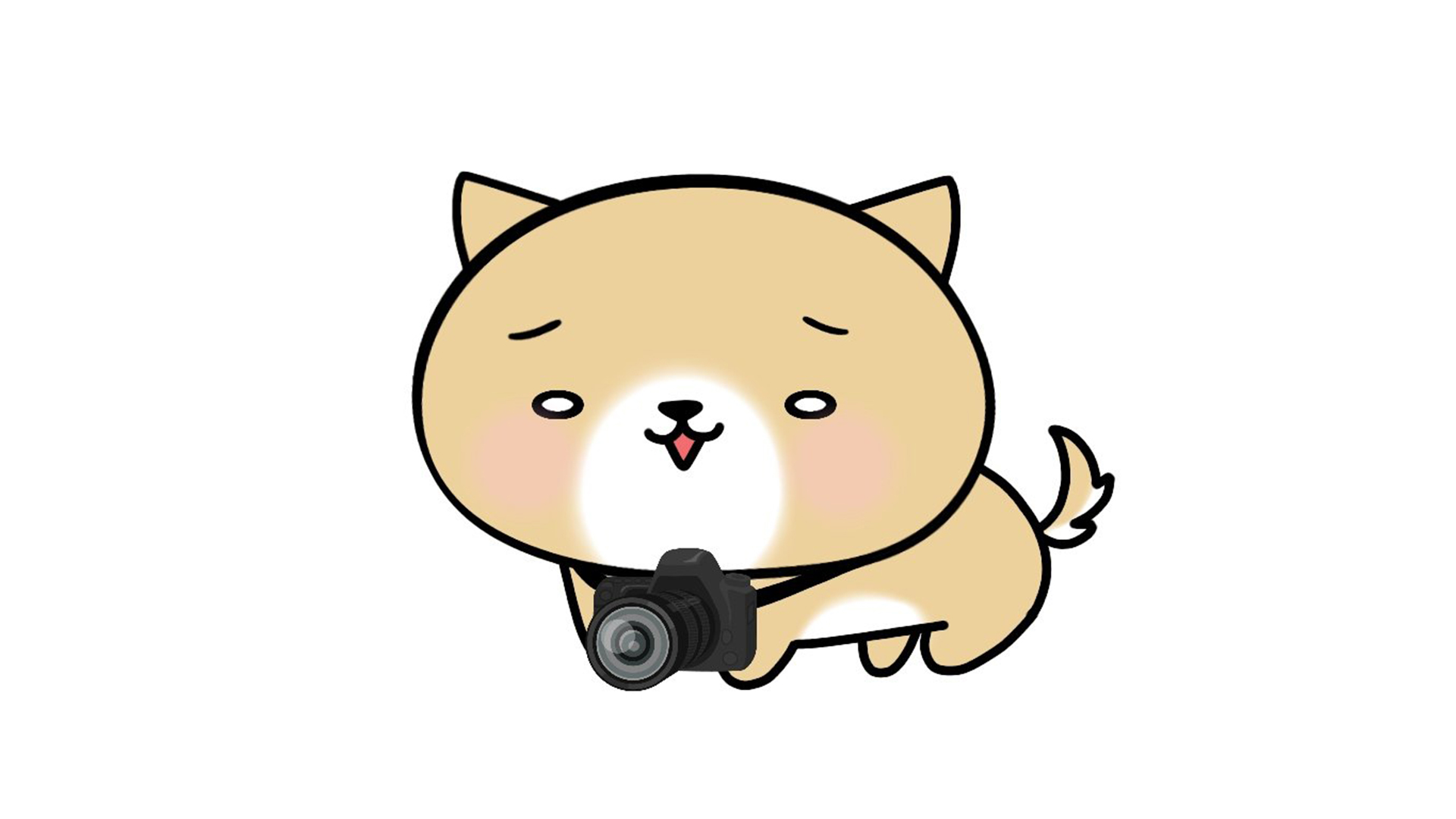 かめらわんこ（みに）