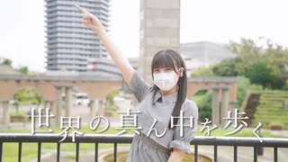 【ぬい】世界の真ん中を歩く 踊ってみた