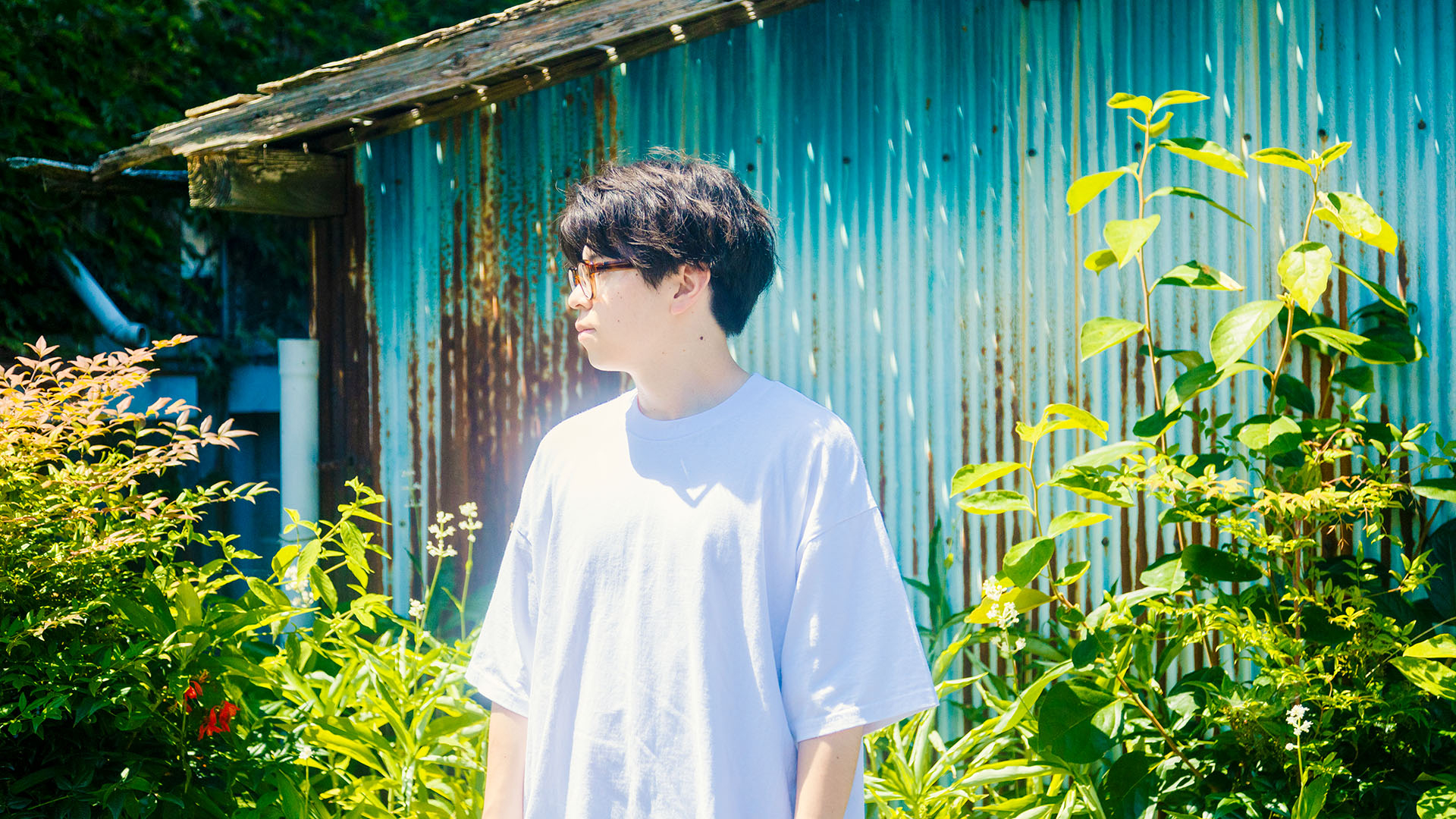 シイバ ユウダイ