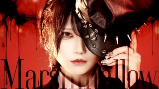 マシュマロ - DECO*27 踊ってみた / めーとる【オリジナル振付】 #歌踊コレ2026春