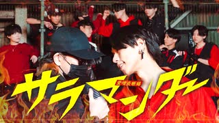 【アツい男たちが】サラマンダー【歌って踊ってみた】